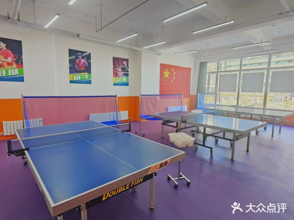 乐冠乒乓