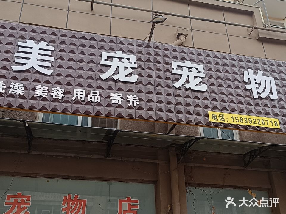 美宠宠物