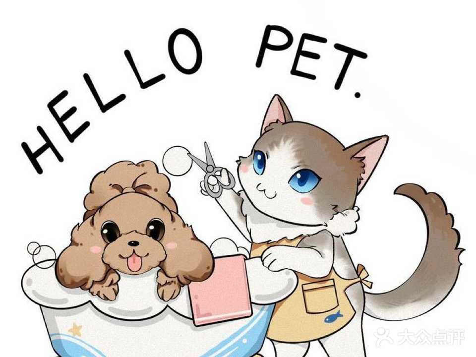 Hello pet ·l有家宠物店