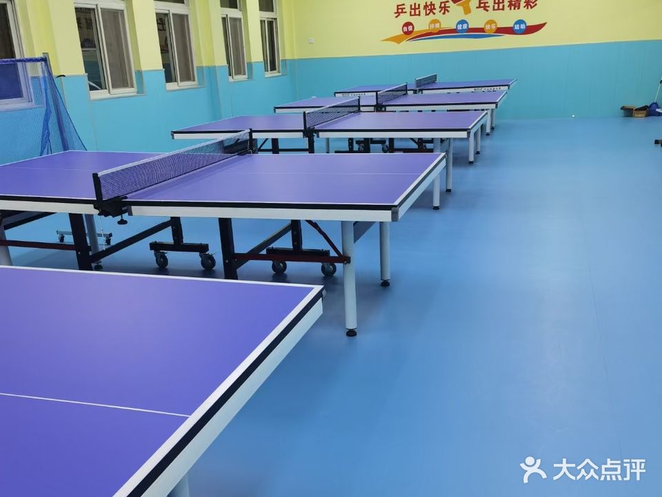 天津市南开区泰扬乒乓球俱乐部