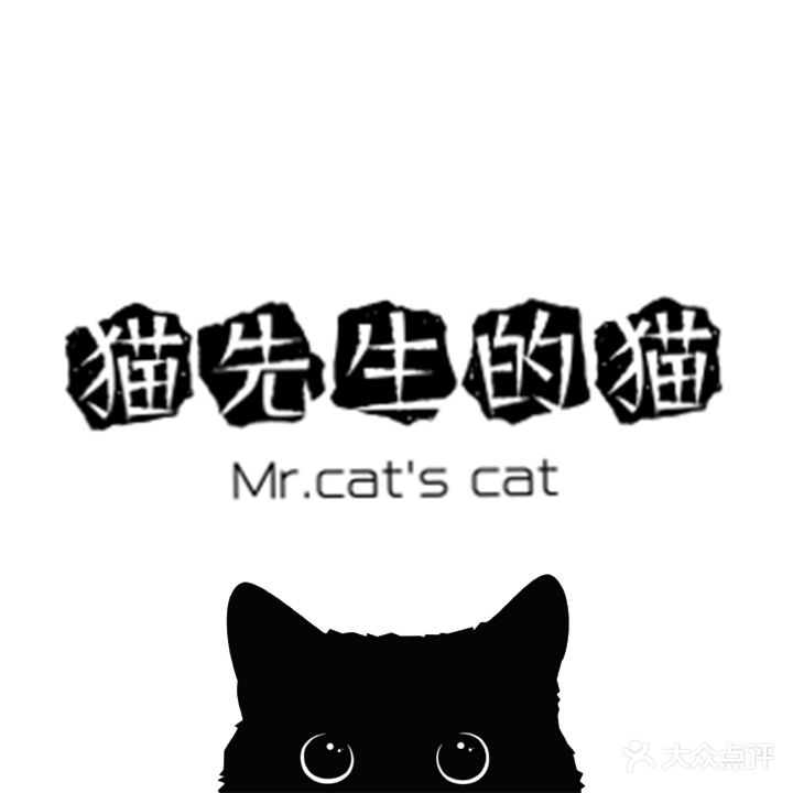 猫先生的猫