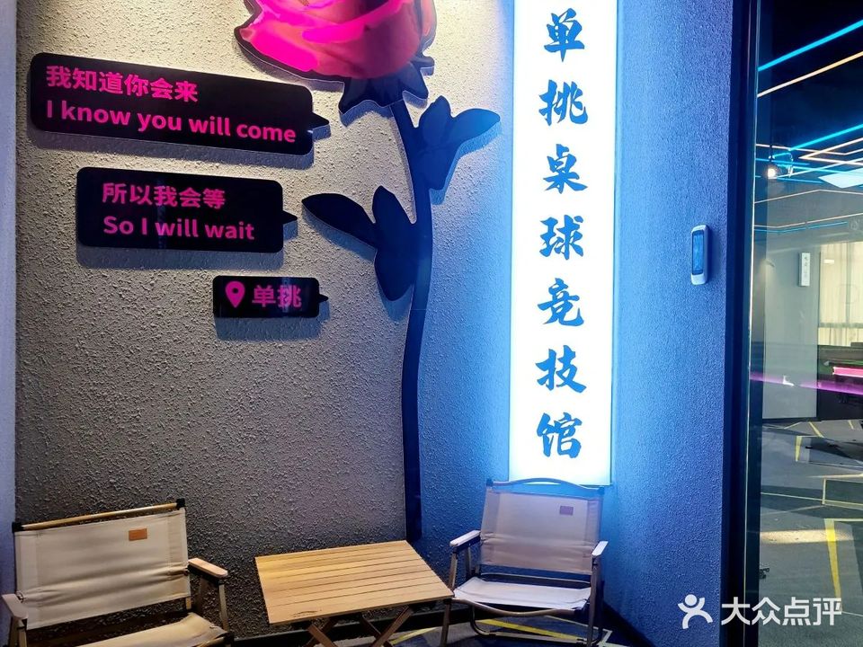 单挑桌球竞技馆