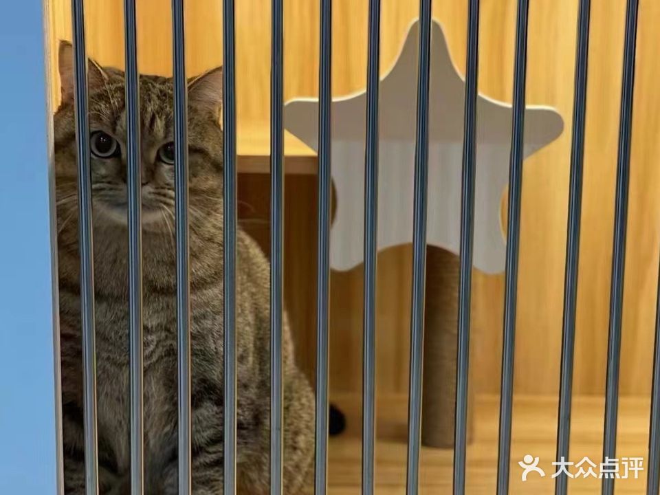 梁心宠屋