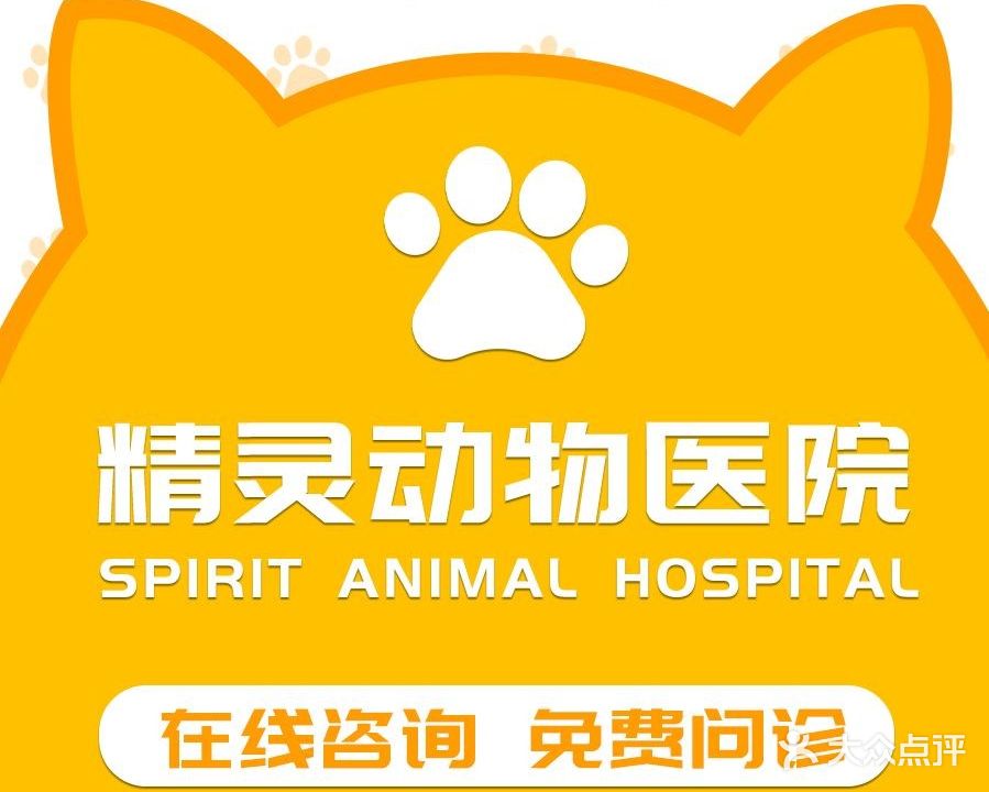 精灵动物医院