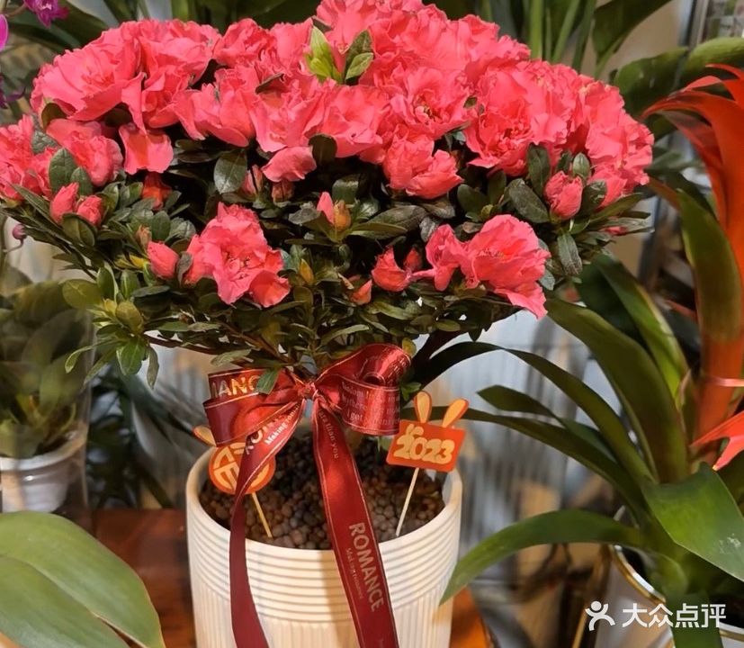 怀柔丽苑花卉绿值