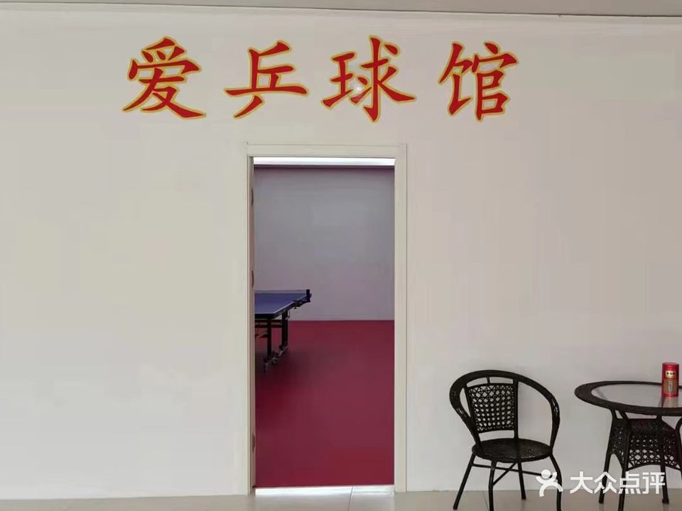 爱乒球馆(润霖PLAZA店)