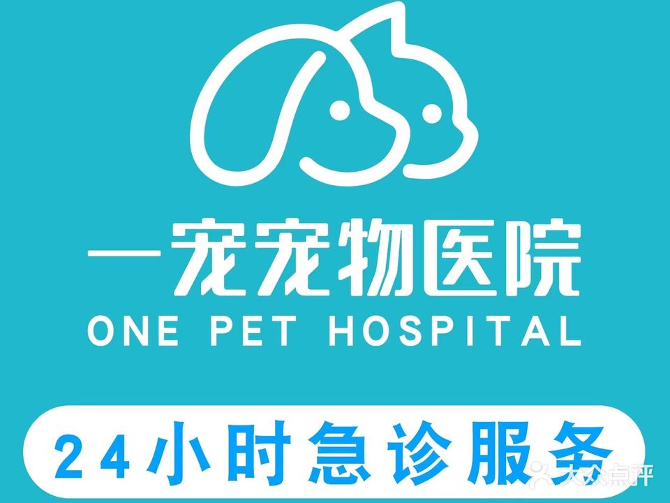 一宠宠物诊疗(工业二路店)
