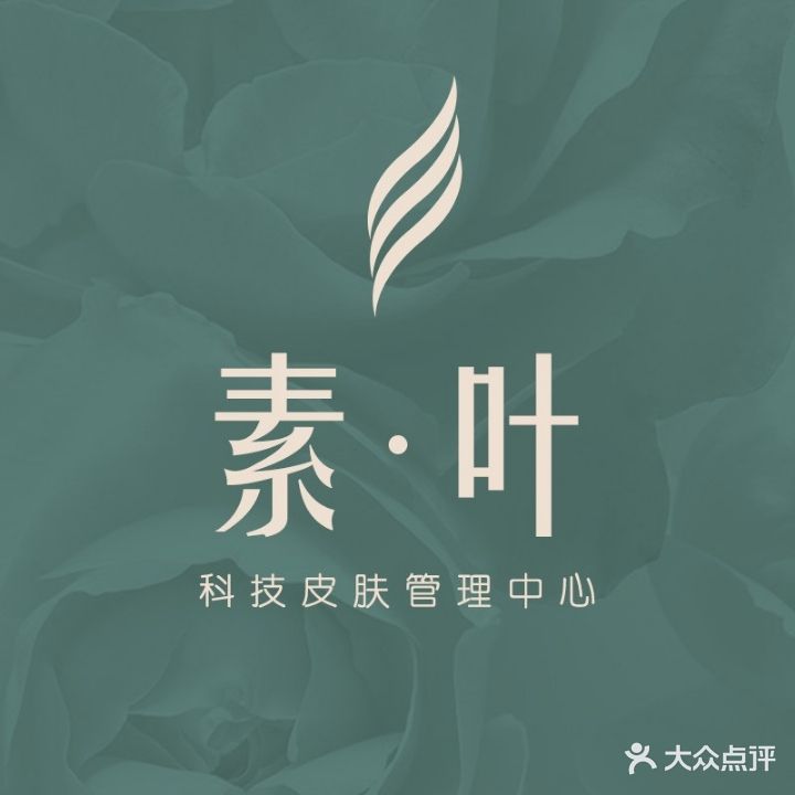 素·叶科技皮肤管理中心