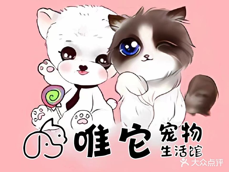 唯它宠物生活馆·洗护美容寄养(瑞城F区店)