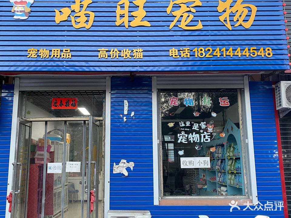 喵旺宠物