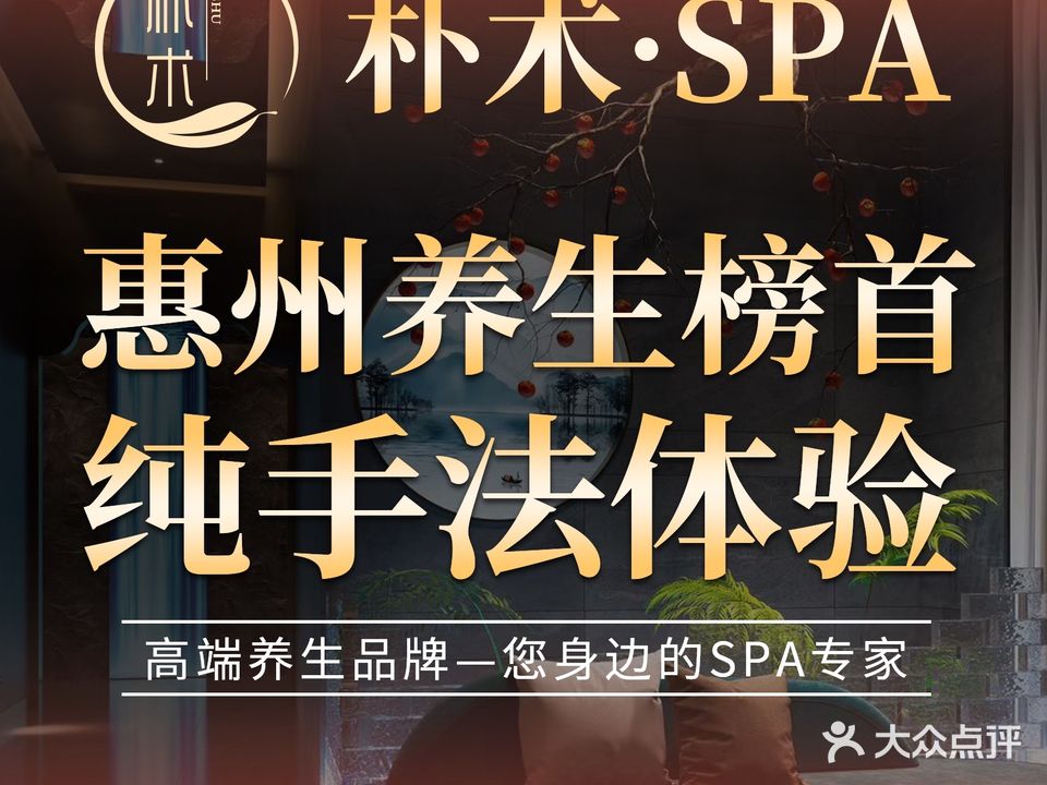朴数·SPA·手法体验店(龙丰店)