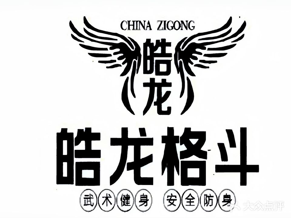 皓龙格斗·散打·搏击(泰丰国贸中心店)
