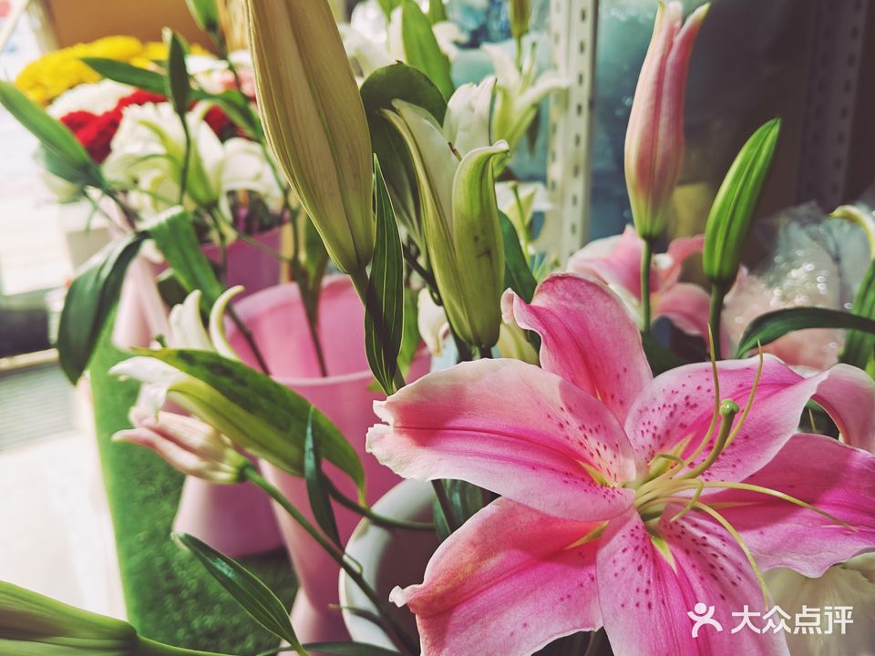 名花有主花坊