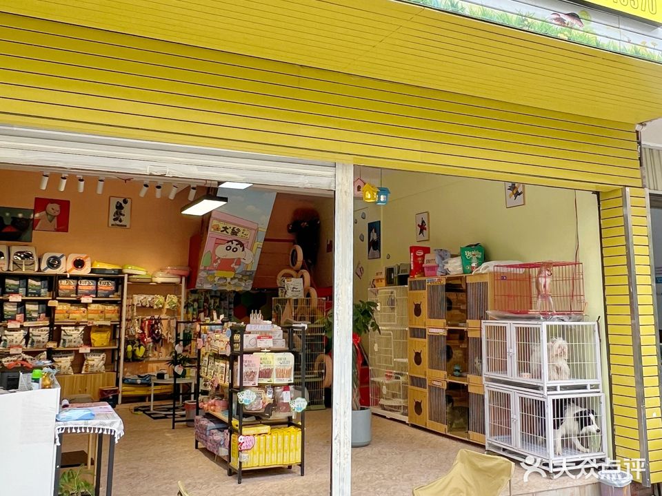喵宠小屋洗护美容