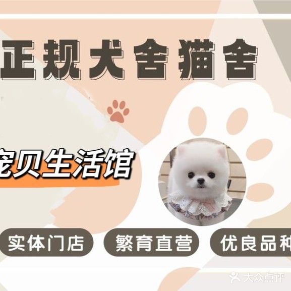 宠贝生活馆(都市祥苑店)