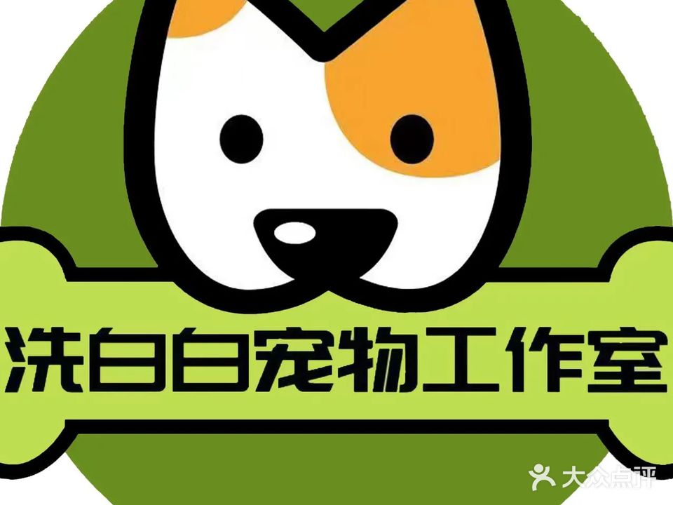 洗白白宠物工作室