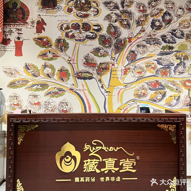 藏真堂藏药药浴痛症馆(双丰大厦店)