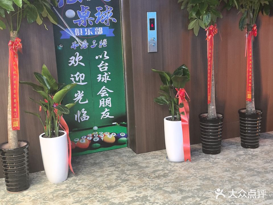 摇人台球