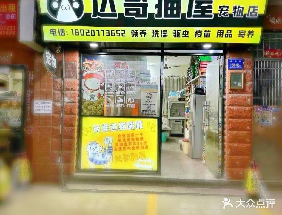 达哥猫屋