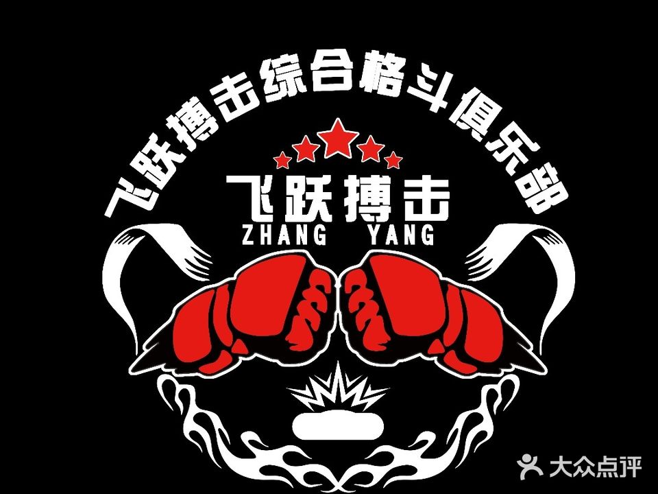 飞跃搏击
