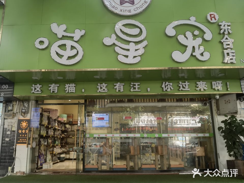 喵星宠(东合店)