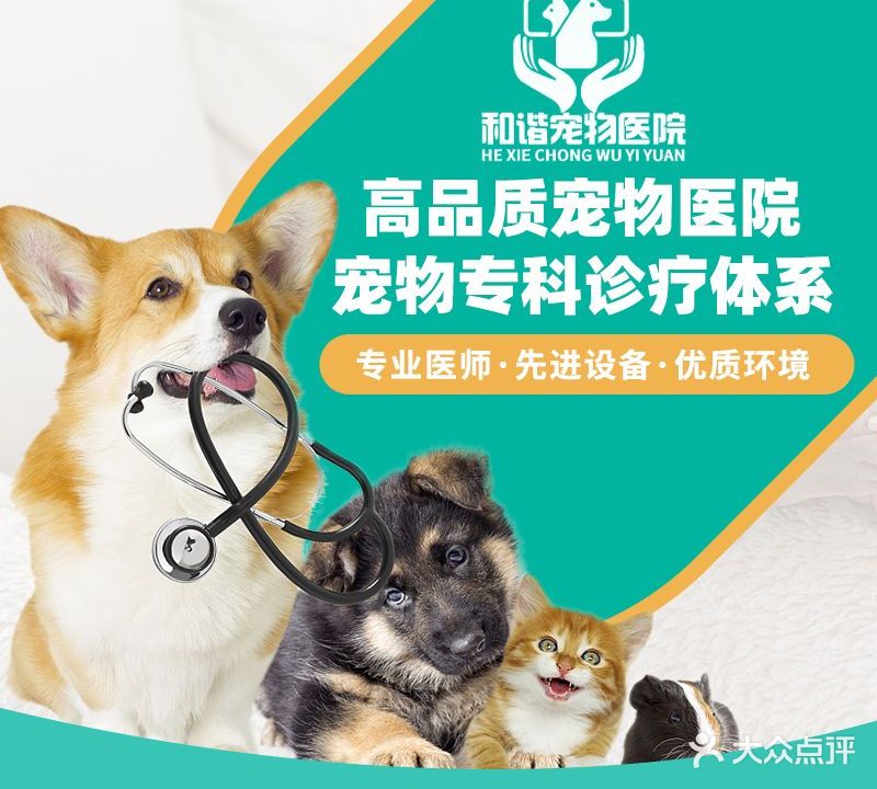 和谐新宠物医院