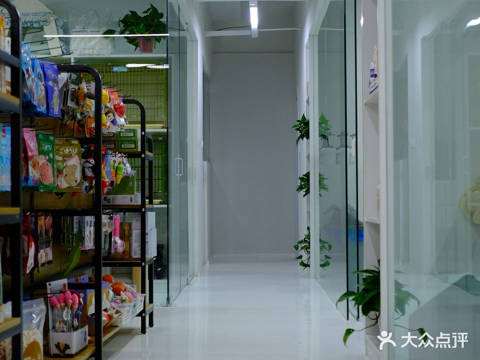 爱宠家宠物店