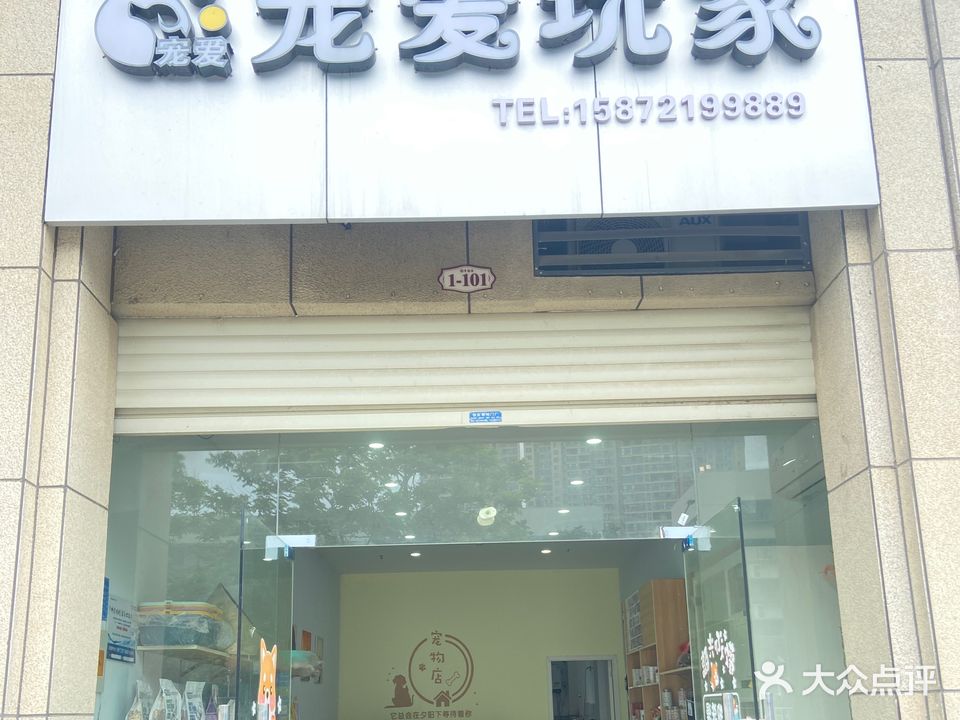 宠爱玩家