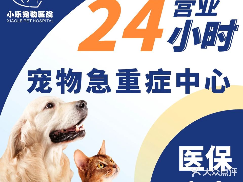 小乐宠物医院·犬猫专科·骨科中心·异宠·内窥镜(陈江店)