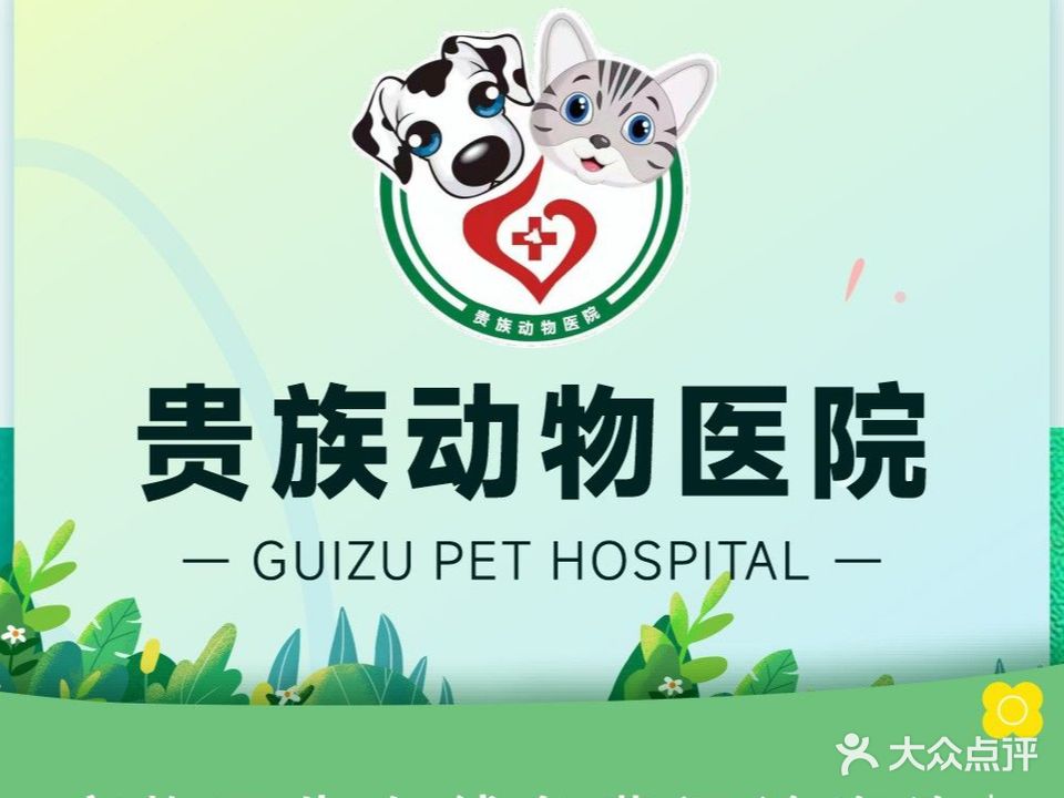 贵族动物医院(新城店)