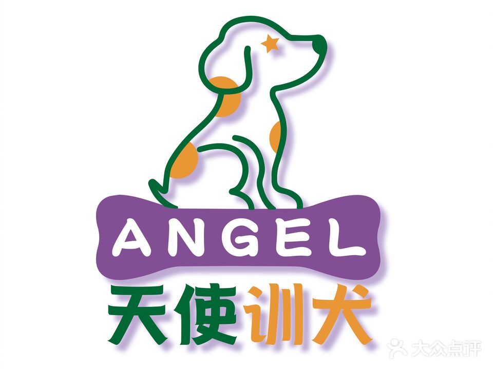天使犬训基地·天使守护金毛犬舍
