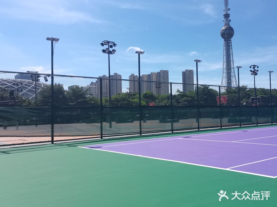 维尼网球学院(岭南明珠校区)