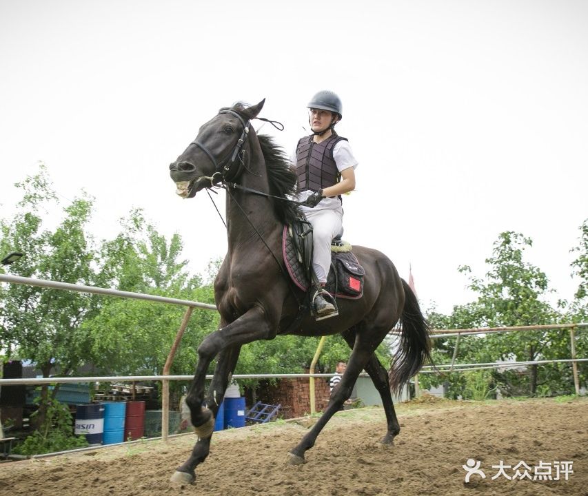 学福元马术俱乐部