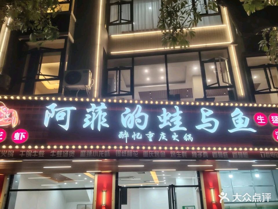 阿菲的蛙与鱼