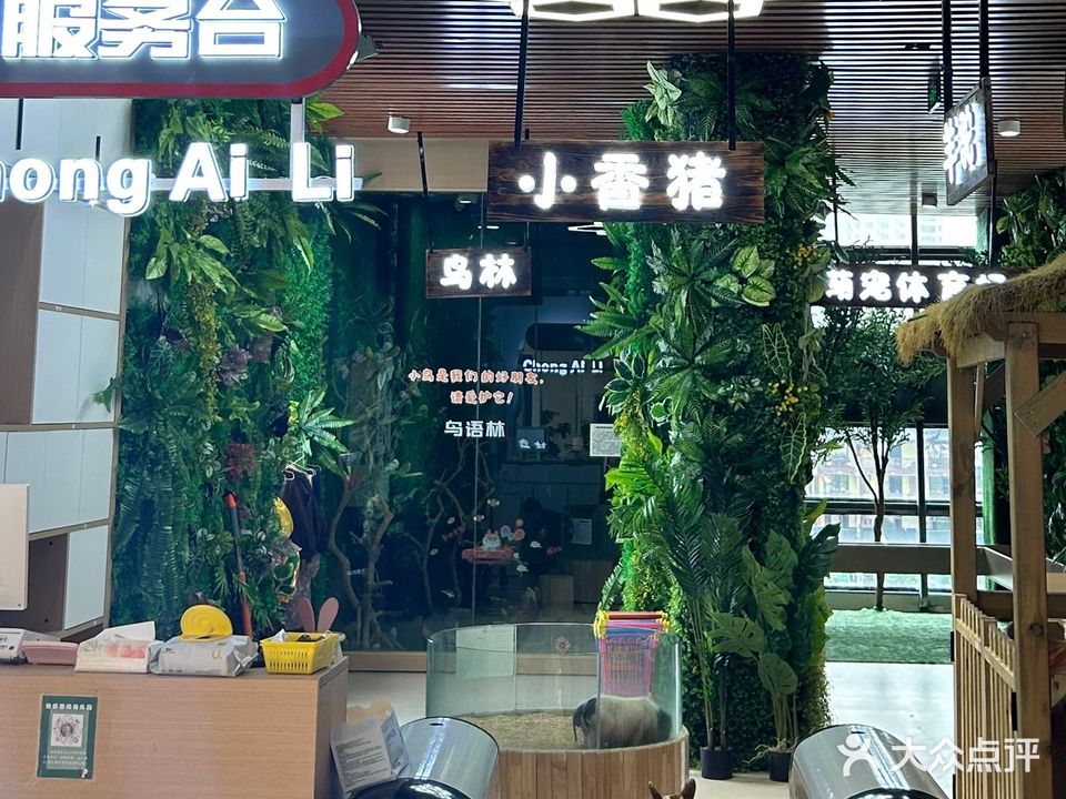 宠爱里萌宠乐园·羊驼·猫·玉米蛇(和润城店)