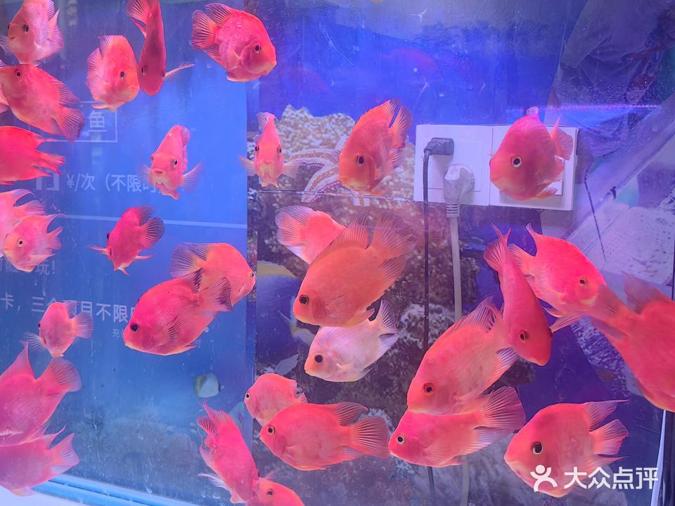 印象水族生活馆(三台山店)