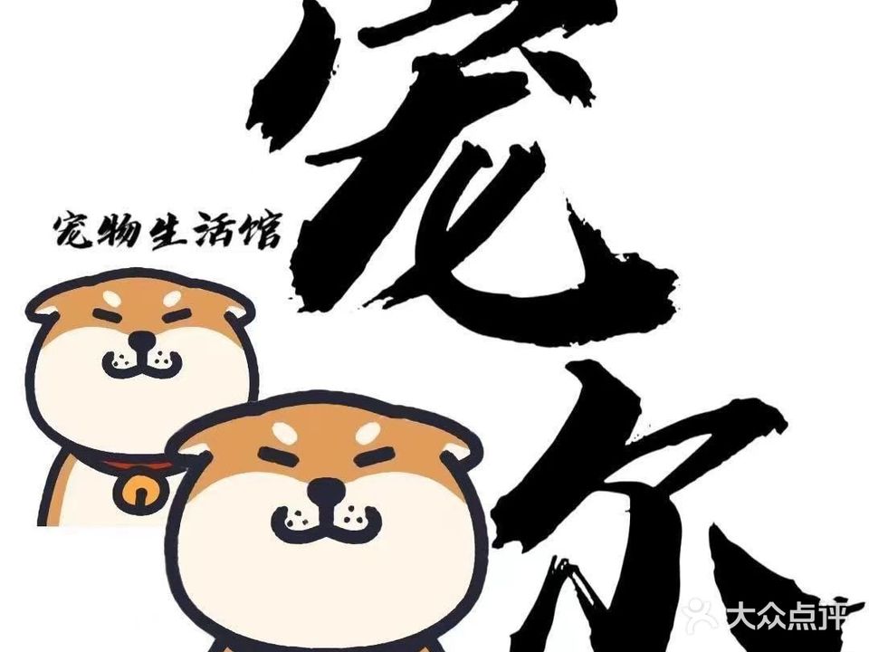 宠尔-宠物精致生活馆