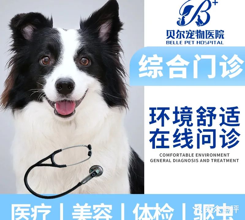 贝尔动物医院