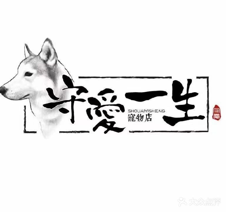 守爱一生宠物店