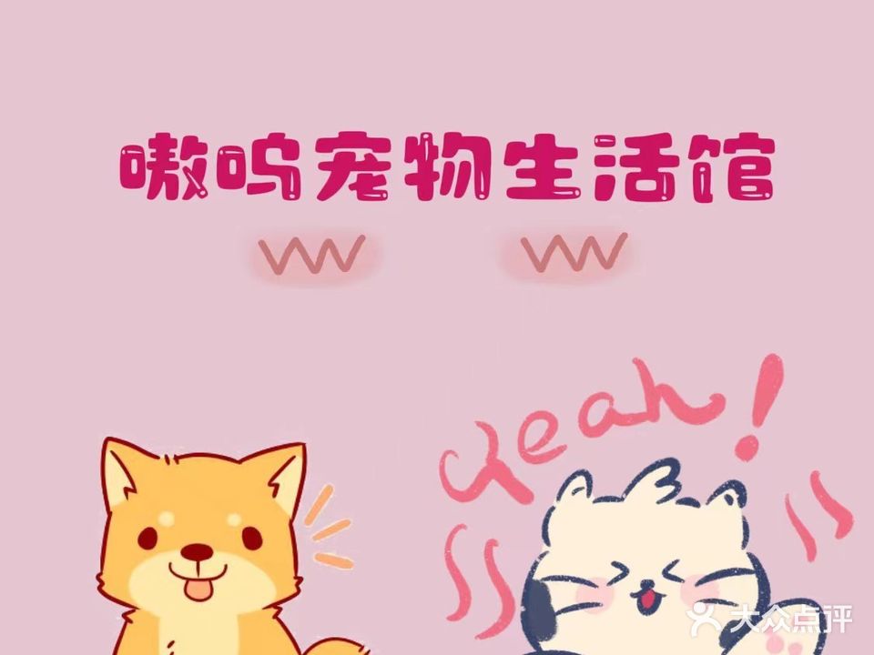嗷呜宠物生活馆