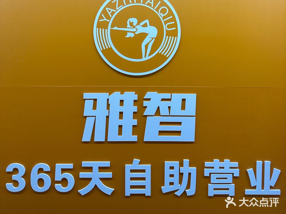 雅智太球(东域店)