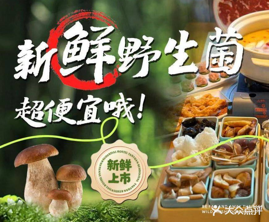 野生菌抚仙湖石锅鱼石锅鸡(阳光花园店)