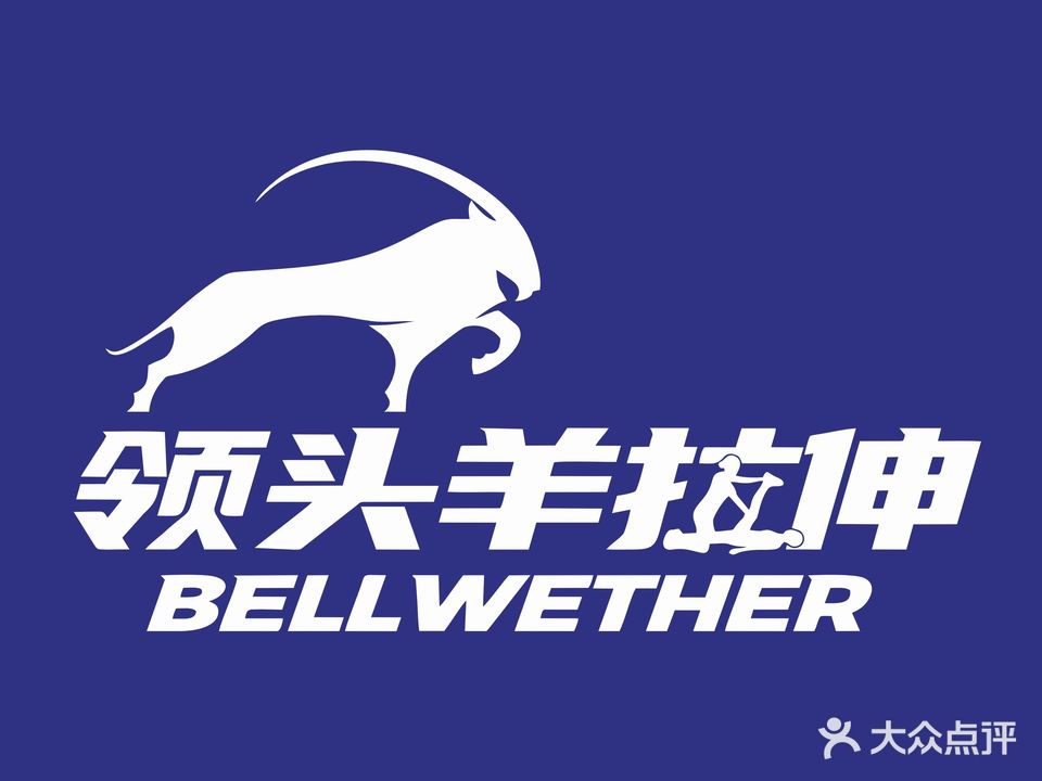 领头羊拉伸(喷水池店)