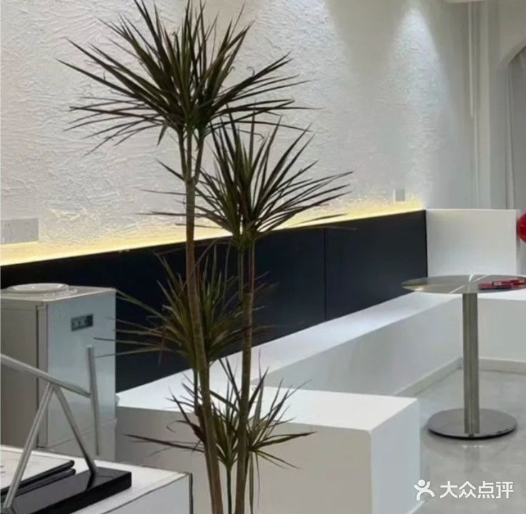 发发国际专业美发
