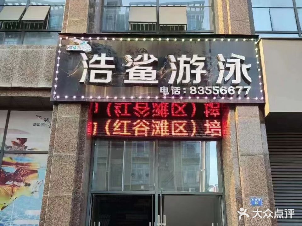 浩鲨游泳