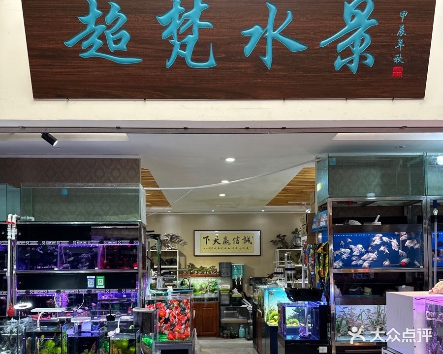 超梵植艺观赏鱼水景工作室