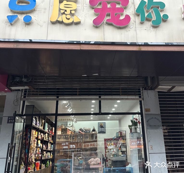 只愿宠你宠物美容店