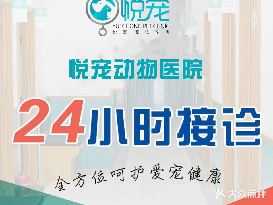 悦宠动物医院