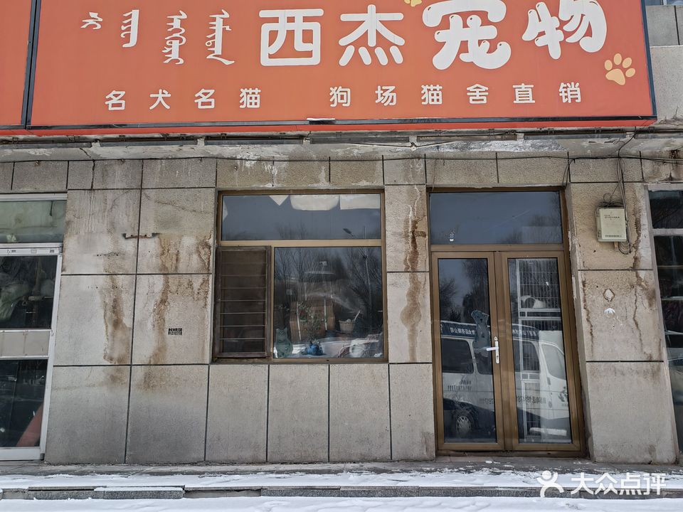 西杰宠物用品批发