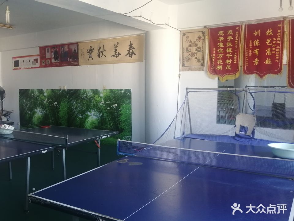 青岛鑫龙乒乓球训练中心